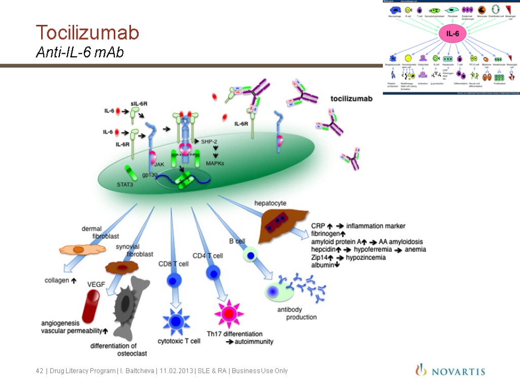 Tocilizumab Anti-IL-6 mAb 42 | Drug Literacy Program | I. Baltcheva | 11.02.2013 |
